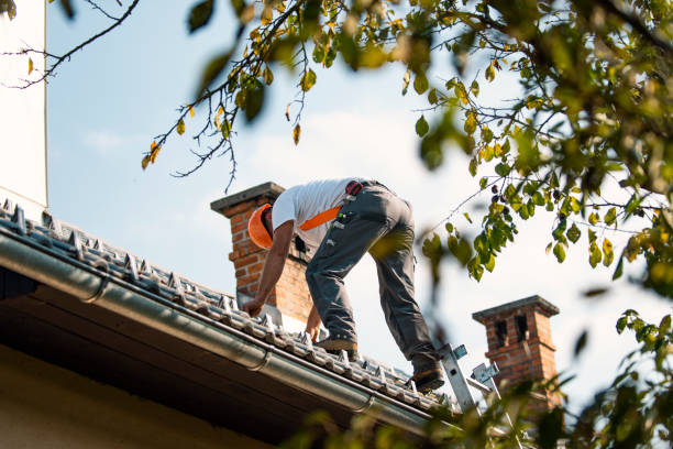 Best Storm Damage Roof Repair  in West Easton, PA