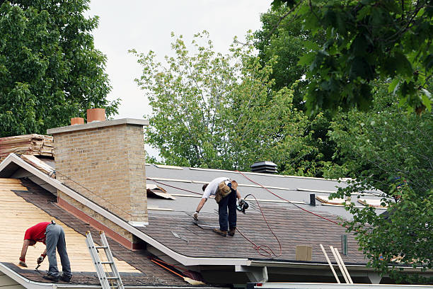 Best Roof Gutter Cleaning  in West Easton, PA